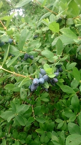 20190627_133459478.jpg